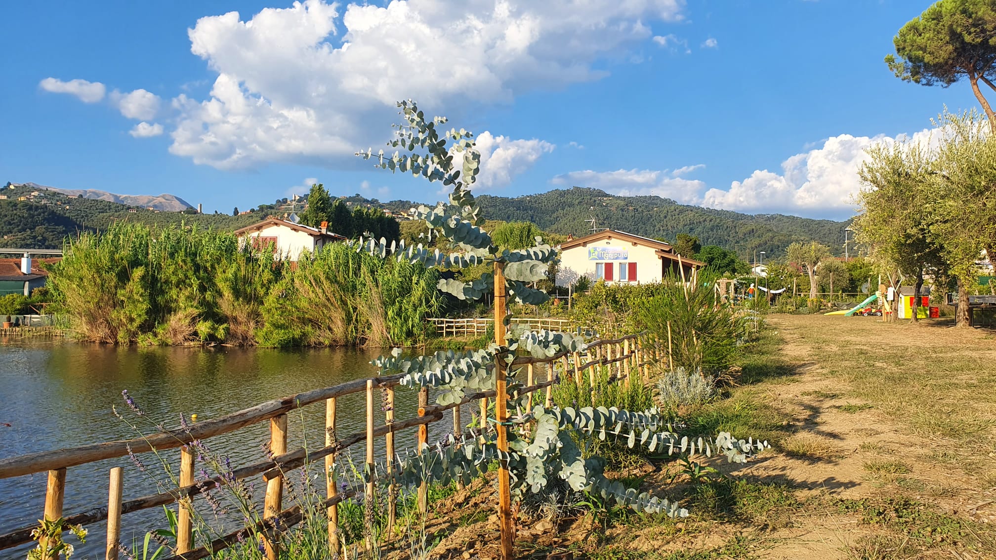 Formato Convenienza Detersivo Bagno - Detersivi Ecologici Casa - Oligea -  Igienizzanti Bio Oligea